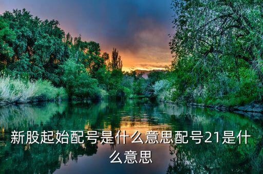 什么叫起始配號，新股起始配號是什么意思配號21是什么意思