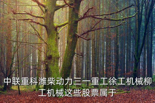 中聯(lián)重科濰柴動力三一重工徐工機械柳工機械這些股票屬于