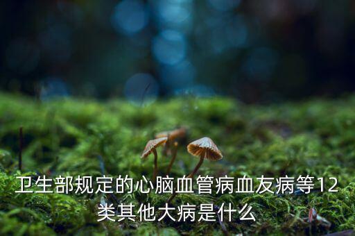 十二種大病包括什么，12種重大疾病包括哪些