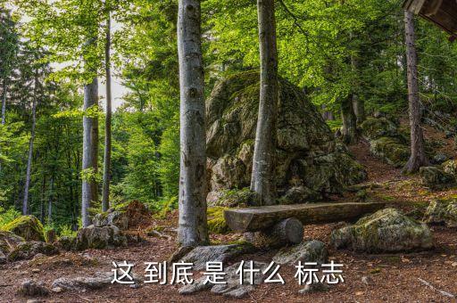王守兵為什么離開洋河，周筆漲有什么新歌嗎