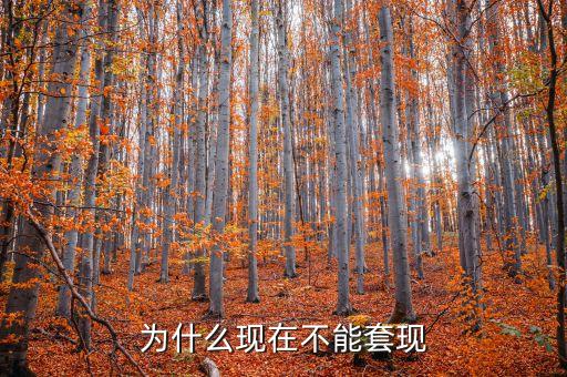 為什么銀行不允許套現(xiàn)，為什么銀行要封殺套現(xiàn)