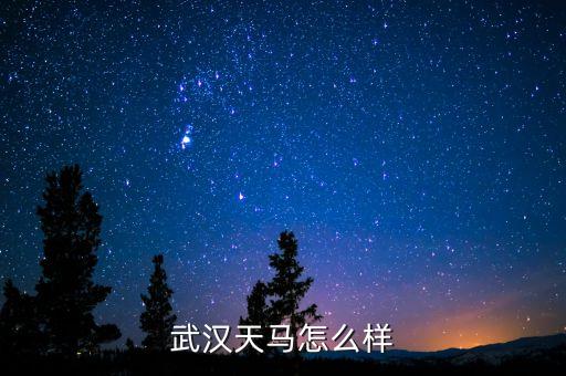 002276公司是做什么的呢，萬馬股份是做什么的