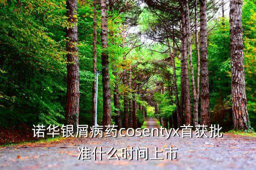 諾華新藥什么時候可以在中國上市，opdivo什么時候能在中國上市哪里能買到