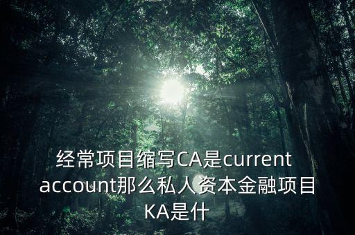 經(jīng)常項目縮寫CA是current account那么私人資本金融項目KA是什