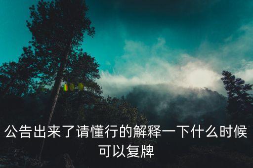 公告出來了請懂行的解釋一下什么時候可以復牌