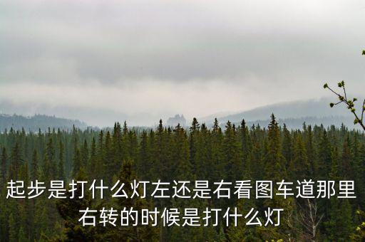 駕駛打右燈和左燈什么意思啊，起步是打什么燈左還是右看圖車道那里右轉(zhuǎn)的時候是打什么燈