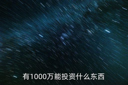 1000萬投資什么好，有1000萬能投資什么東西