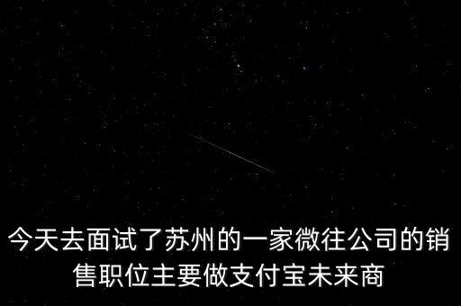 今天去面試了蘇州的一家微往公司的銷售職位主要做支付寶未來(lái)商