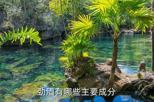 勁酒主要由什么做成的，勁酒是用什么基酒釀造的