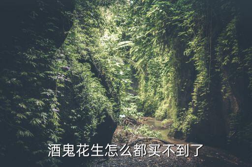 酒鬼超市里為什么沒有，酒鬼花生怎么都買不到了