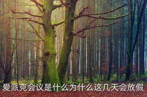 愛派克會議是什么，老板墨水851碳素會堵筆嗎會臟筆頭嗎老板黑墨水非碳素黑不黑