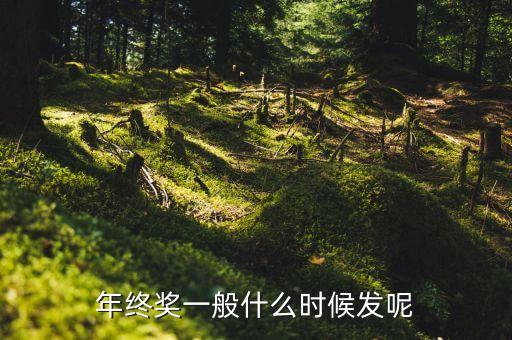 公司年終獎什么時候發(fā)，關于年終獎的發(fā)放時間