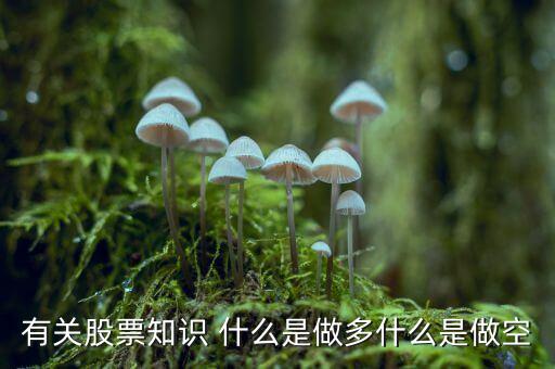 有關(guān)股票知識 什么是做多什么是做空