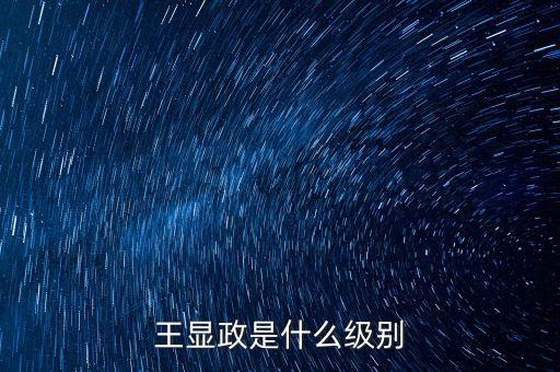 王顯政是什么級(jí)別