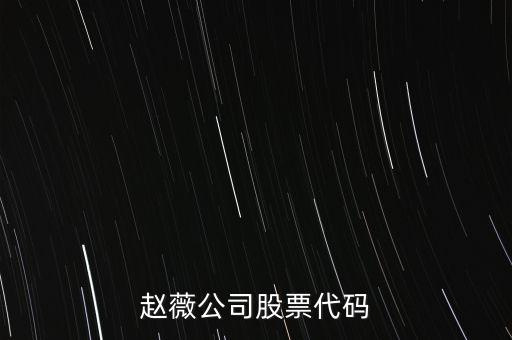 趙薇買的什么股票代碼，范冰冰 趙薇 股票5億買的什么股票