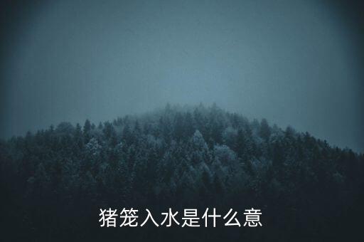 豬籠入水籠什么意思，豬籠入水是什么意思幫幫忙