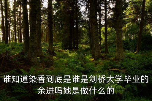 麥肯錫合伙人是什么，誰知道染香到底是誰是劍橋大學(xué)畢業(yè)的余進(jìn)嗎她是做什么的