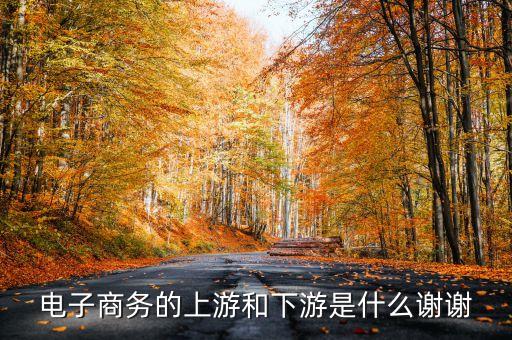 電子商務(wù)的上游和下游是什么謝謝