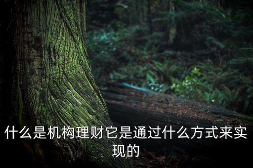 什么是機(jī)構(gòu)理財(cái)，什么是第三方的理財(cái)機(jī)構(gòu)