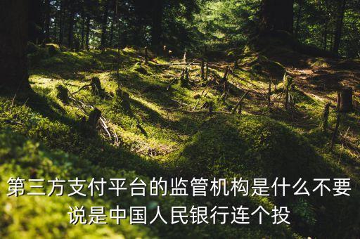 第三方支付平臺由什么機構授權，第三方支付平臺的監(jiān)管機構是什么不要說是中國人民銀行連個投