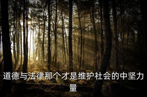 道德與法律那個才是維護社會的中堅力量