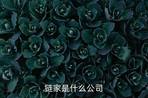 鏈家到底是什么背景，鏈家地產是怎么發(fā)展起來的求詳細資料