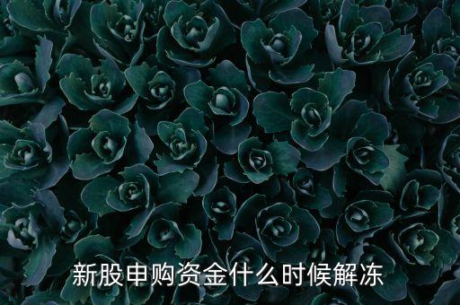新股什么時(shí)候解凍，新股申購(gòu)資金什么時(shí)候解凍