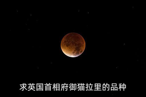 卡梅倫的貓是什么品種，求英國(guó)首相府御貓拉里的品種