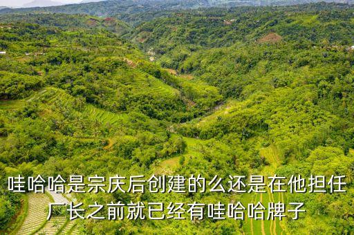 哇哈哈是宗慶后創(chuàng)建的么還是在他擔(dān)任廠長之前就已經(jīng)有哇哈哈牌子