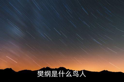 樊綱是什么鳥人，那些唱歌的明星是什么鳥人他門有什么用嗎