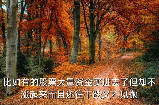 比如有的股票大量資金買進(jìn)去了但卻不漲起來而且還往下跌又不見拋