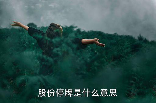 鞍重股份停牌是什么意思，鞍重股份為什么停牌
