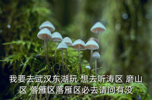 梨園鎮(zhèn)磚廠村居住項目為什么這么便宜，北京通州區(qū)梨園鎮(zhèn)小街之春嘉園磚廠北里市郊區(qū)還是城區(qū)