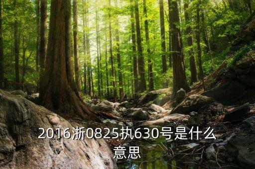 浙0782人民法院代表什么，杭州經(jīng)濟(jì)技術(shù)開發(fā)區(qū)人民法院