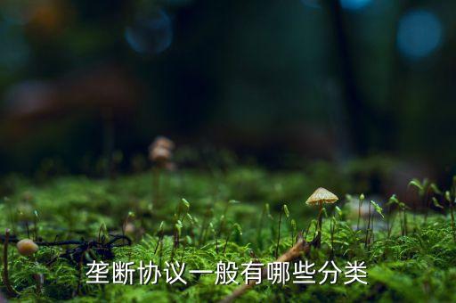 什么是縱向壟斷協(xié)議，壟斷協(xié)議一般有哪些分類(lèi)