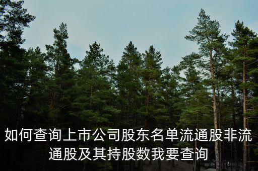 如何查詢(xún)上市公司股東名單流通股非流通股及其持股數(shù)我要查詢(xún)