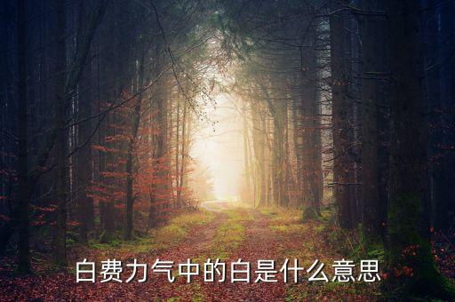 白費力氣中的白是什么意思