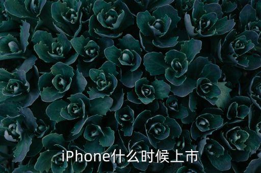 ipo預(yù)計(jì)什么時(shí)候，iPhone什么時(shí)候上市