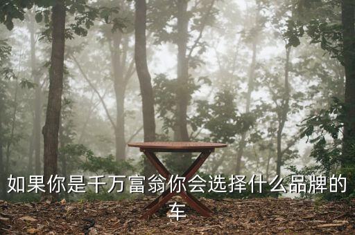 中國(guó)千萬(wàn)富翁開(kāi)什么車(chē)，在中國(guó)千萬(wàn)富豪都開(kāi)些什么車(chē)啊