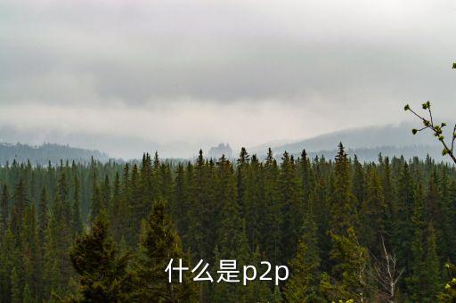 p2p支付是什么，什么是p2p