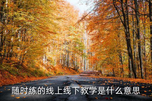 隨時(shí)練的線上線下教學(xué)是什么意思