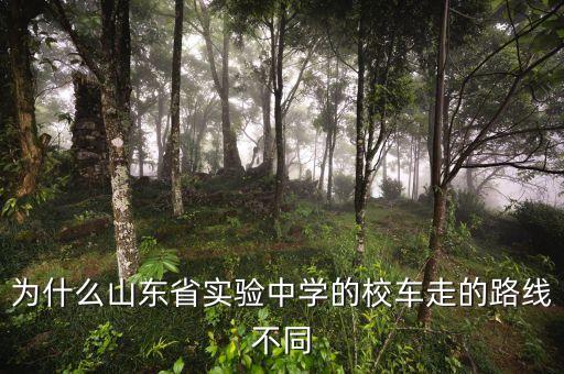 為什么山東省實(shí)驗(yàn)中學(xué)的校車走的路線不同