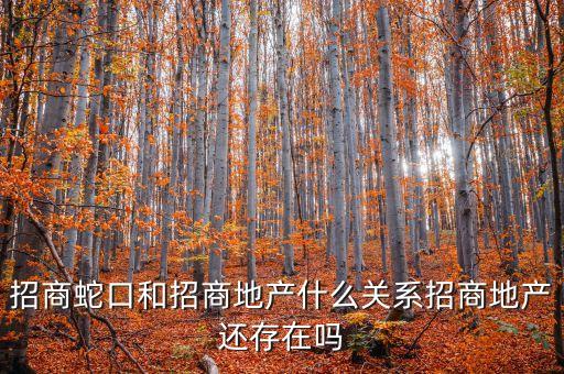 招商地產(chǎn)什么時(shí)候在新加坡上市，招商蛇口和招商地產(chǎn)什么關(guān)系招商地產(chǎn)還存在嗎