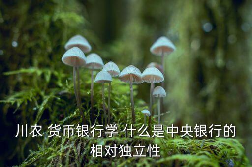 什么是央行獨立性，中央銀行獨立性的弊端是什么