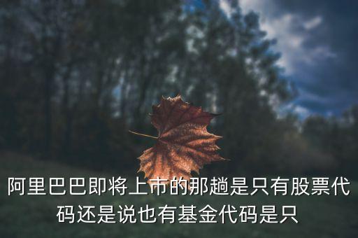 為什么阿里先選擇股票型基金，阿里巴巴即將上市的那趟是只有股票代碼還是說也有基金代碼是只