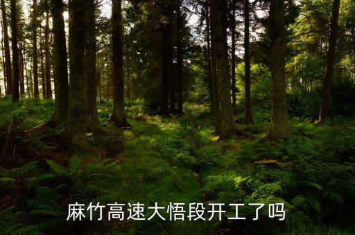 麻竹高速大悟芳畈什么時候開工，麻竹高速公路什么時候開工
