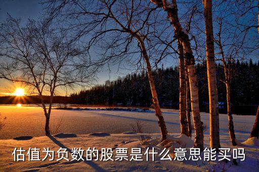 估值為負數(shù)的股票是什么意思能買嗎