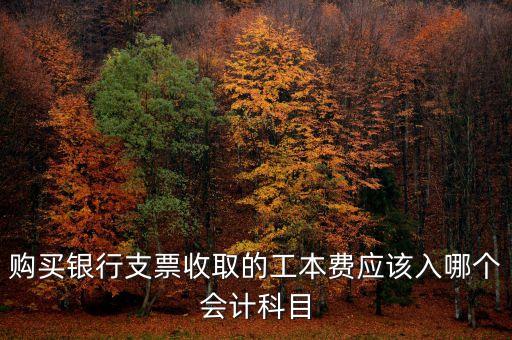 銀行工本費計入什么科目，購買銀行支票收取的工本費應該入哪個會計科目