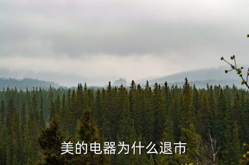 美的電器為什么退市