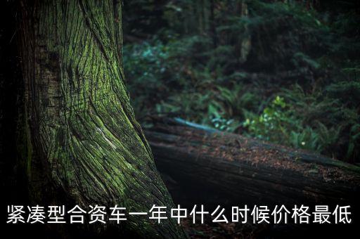 合資車什么時候降價，緊湊型合資車一年中什么時候價格最低
